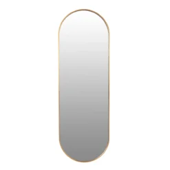 Spiegel ovaal 50x150cm - goud