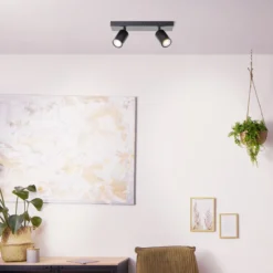 Spot Bep 2-lichts zwart