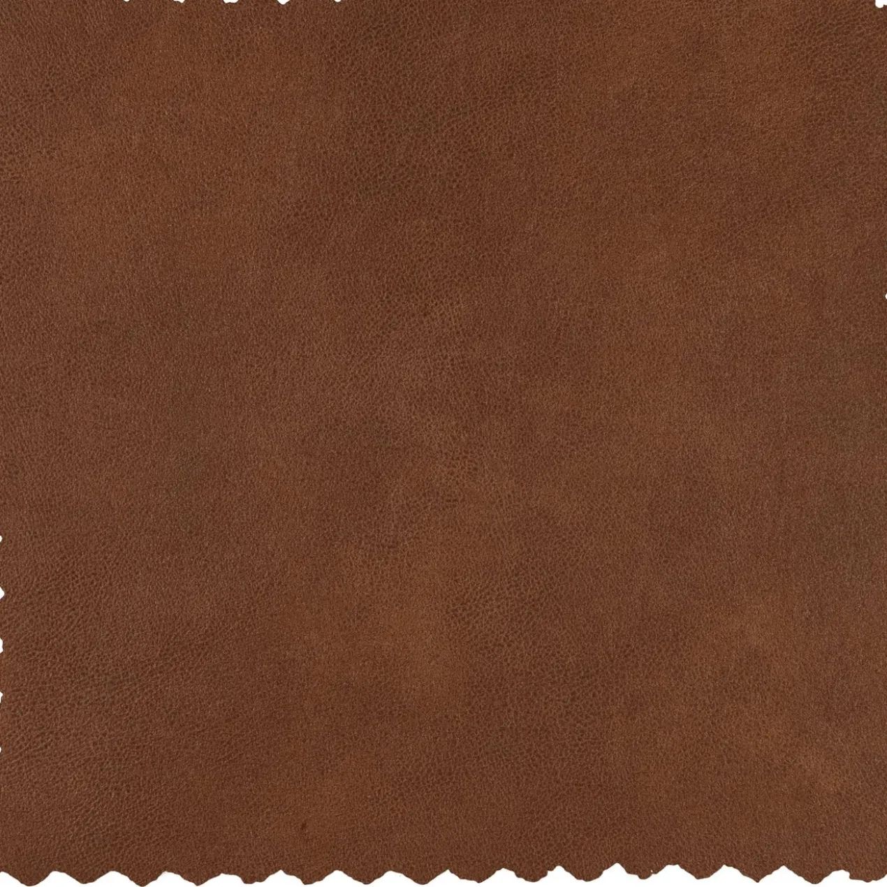 Statement fauteuil met arm ecoleer cognac