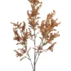 Statice spray orange