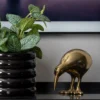 Statue Kiwi Bird metal gold plated