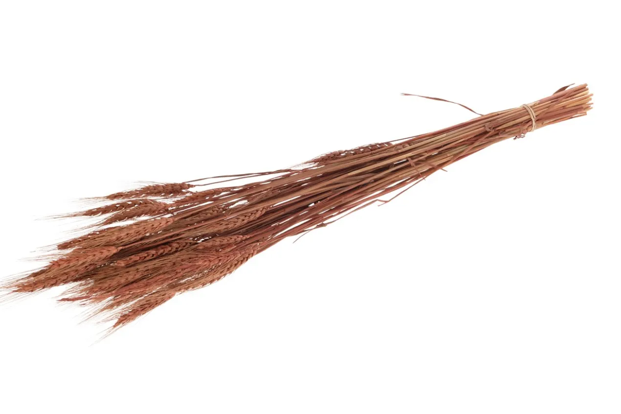 Tarwe gras 60-65