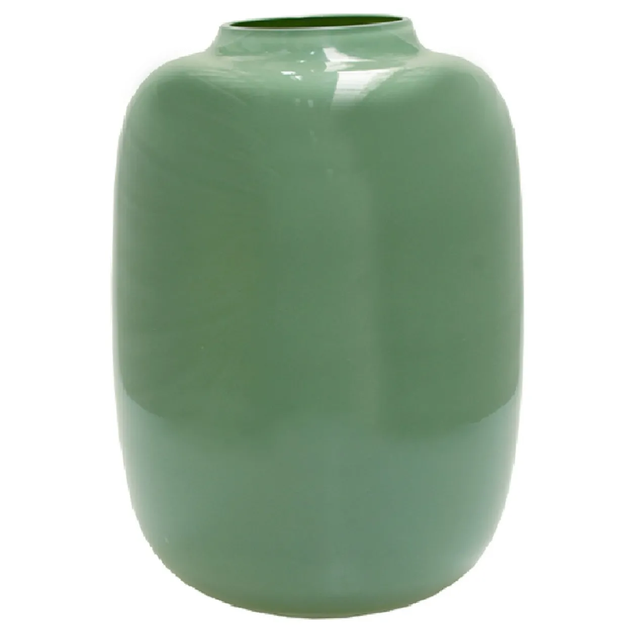 Vaas Artic M Ø25 cm pastel green