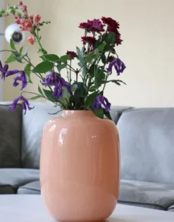 Vaas Artic M Ø25 cm pastel peach