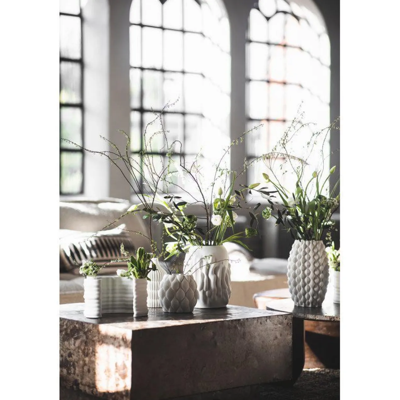 Vaas Botanica