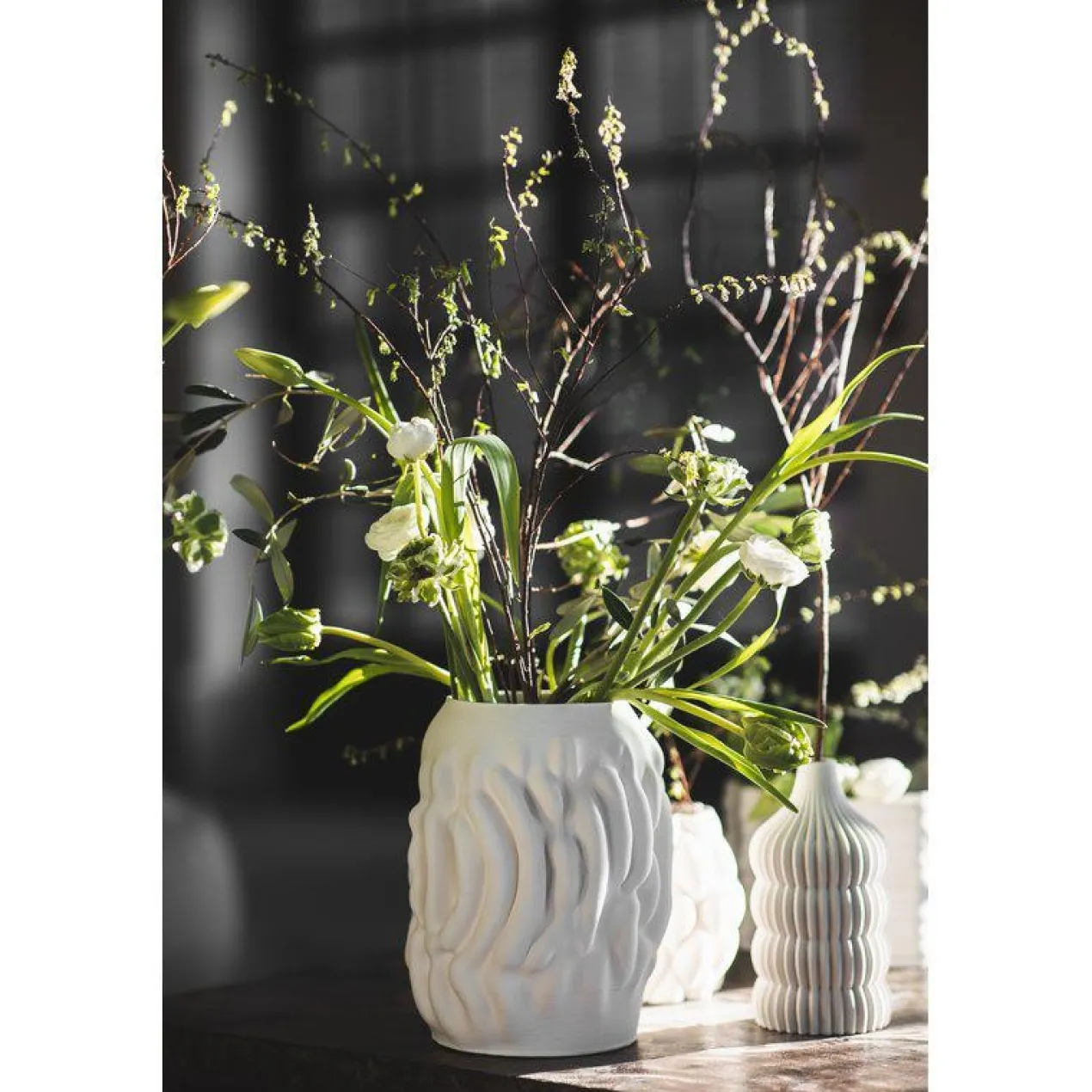 Vaas Botanica