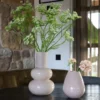 Vaas Lindi Elite M ivory