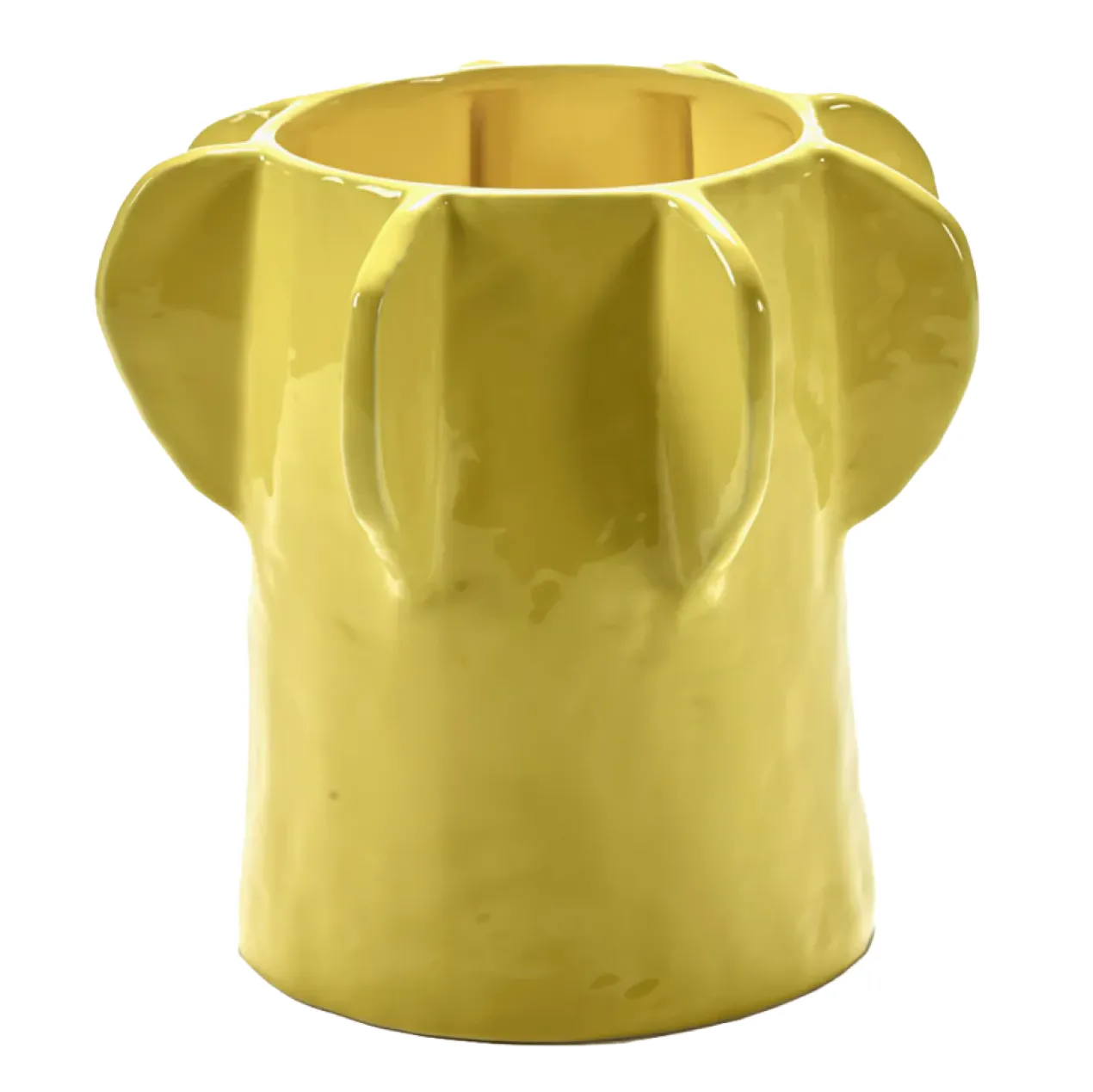 Vaas Molly S 01 yellow