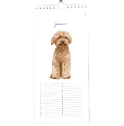 Verjaardagskalender Bintje dieren Kalender Bintje DierenKalender Bintje dieren