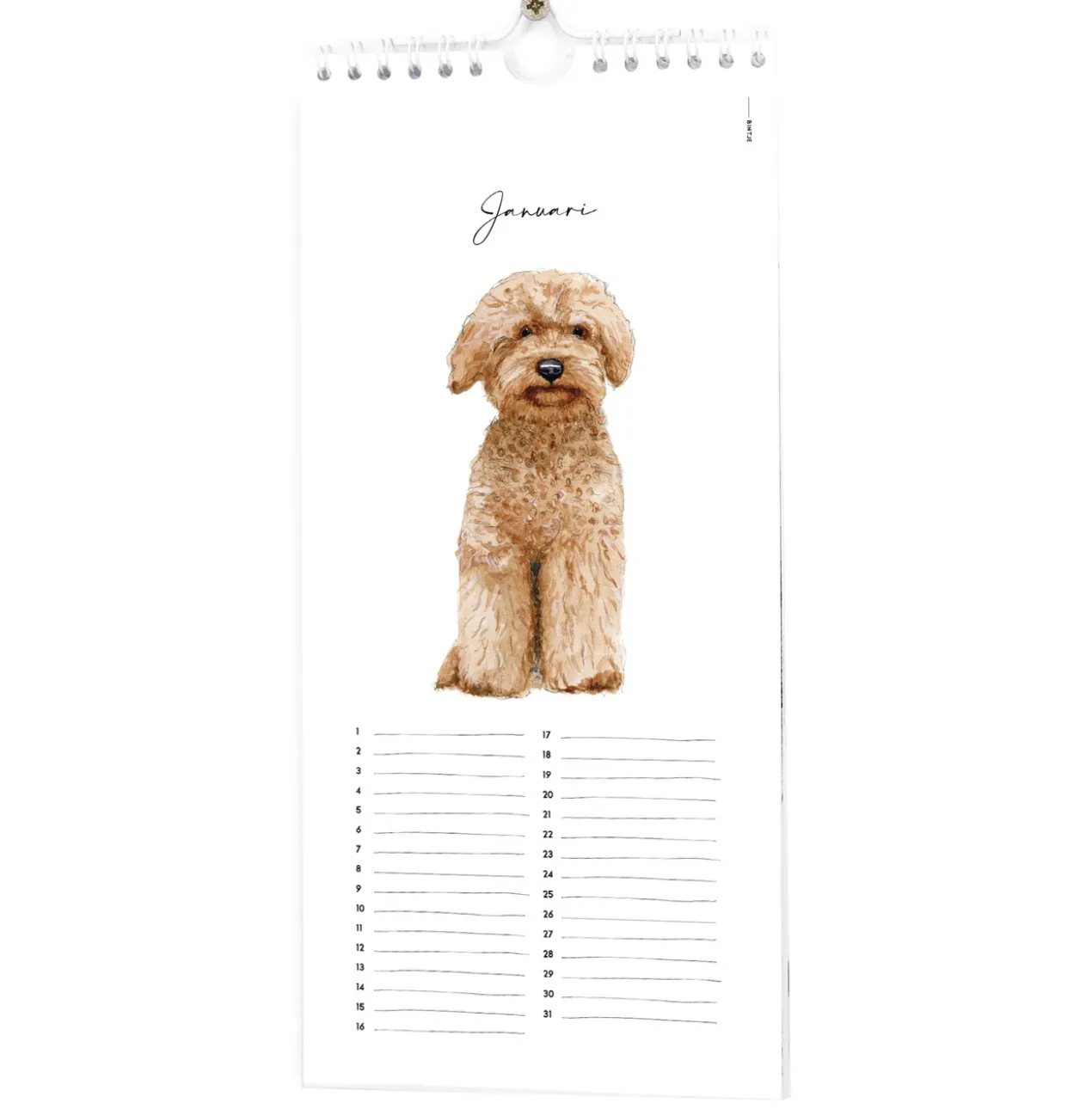 Verjaardagskalender Bintje dieren Kalender Bintje DierenKalender Bintje dieren