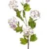 Viburnum spray blue