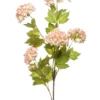 Viburnum spray pink