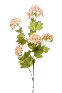 Viburnum spray pink