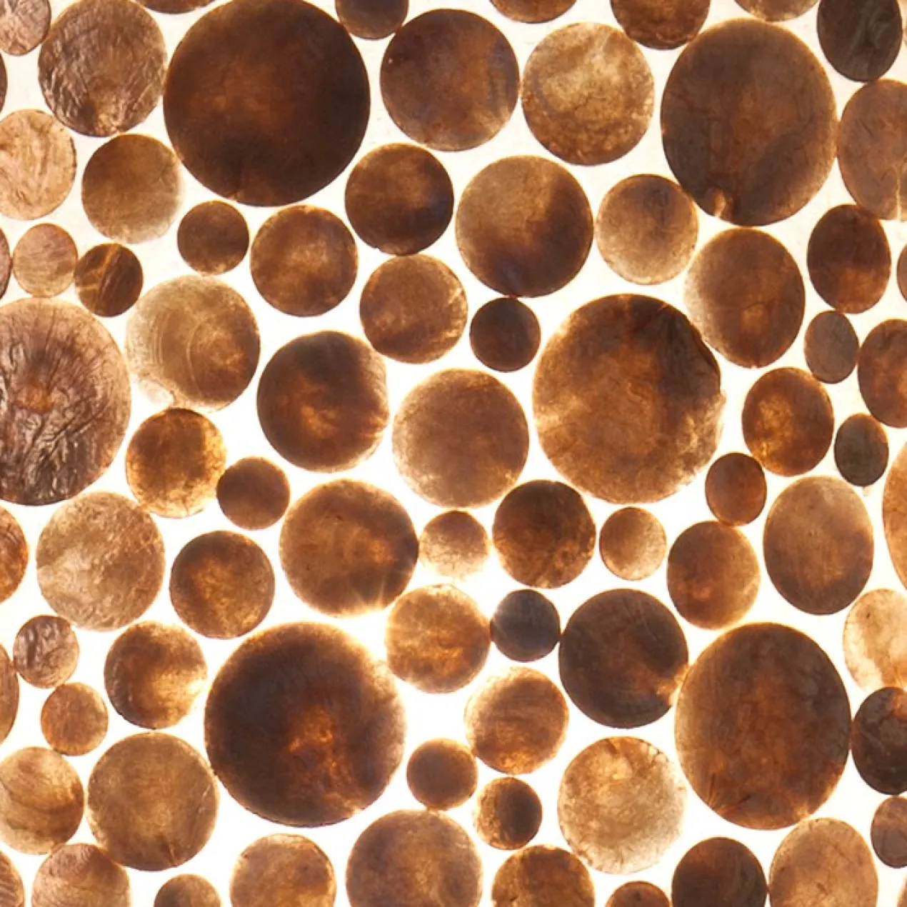 Vloerlamp coins gold shell 150 cm