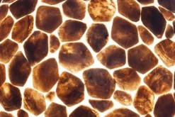 Vloerlamp shell turtle 200