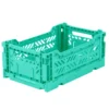 Vouwkratje Mini selectie groen Mint
