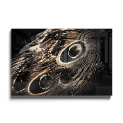 Walljar acrylglas schilderij - Peacock Feathers Acrylglas schilderij - 50 x 70 cm