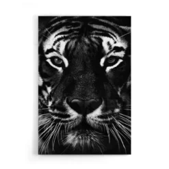 Walljar acrylglas schilderij - Facing Tiger Acrylglas schilderij - 50 x 70 cm