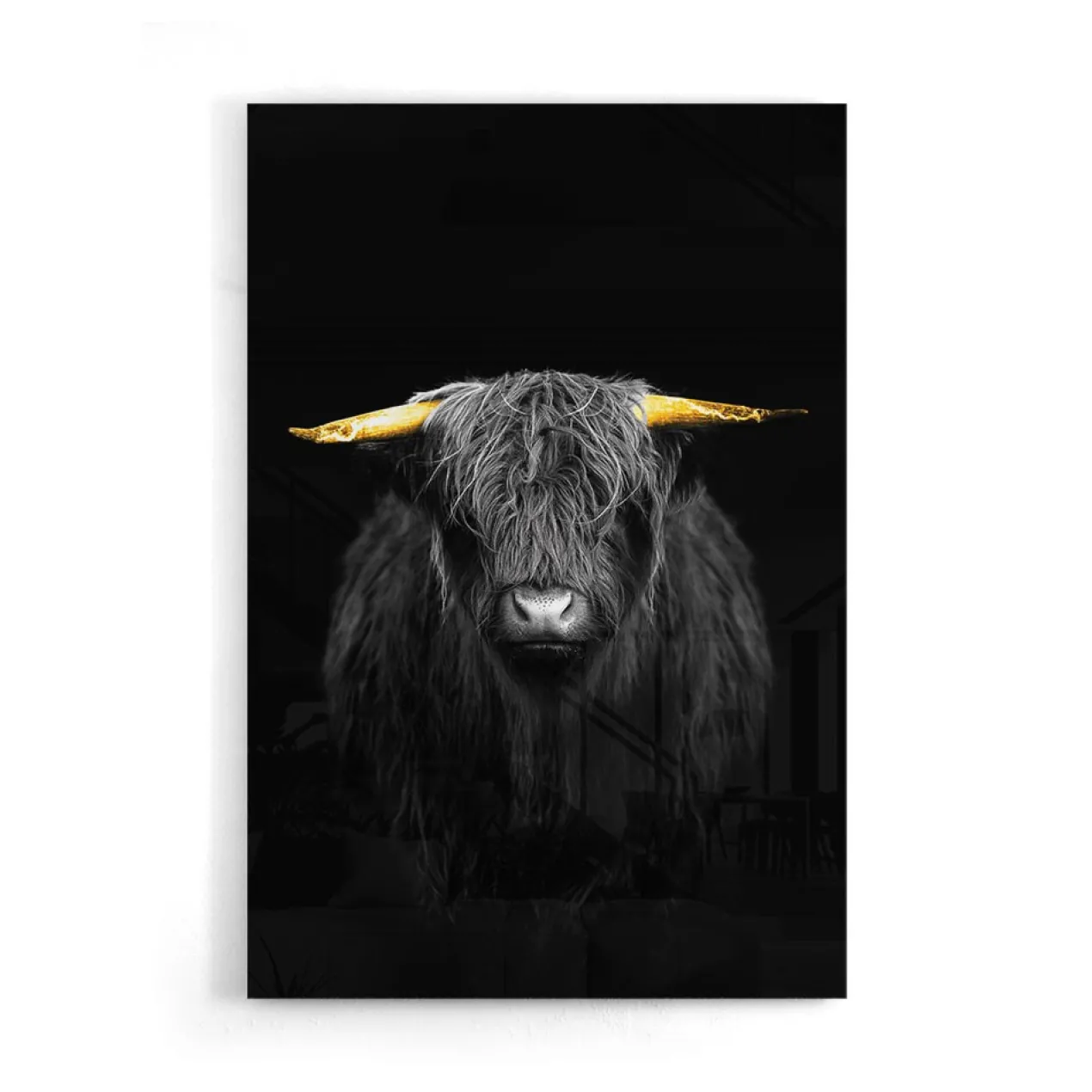 Walljar acrylglas schilderij - Gold Ox Horns Acrylglas schilderij - 70 x 100 cm