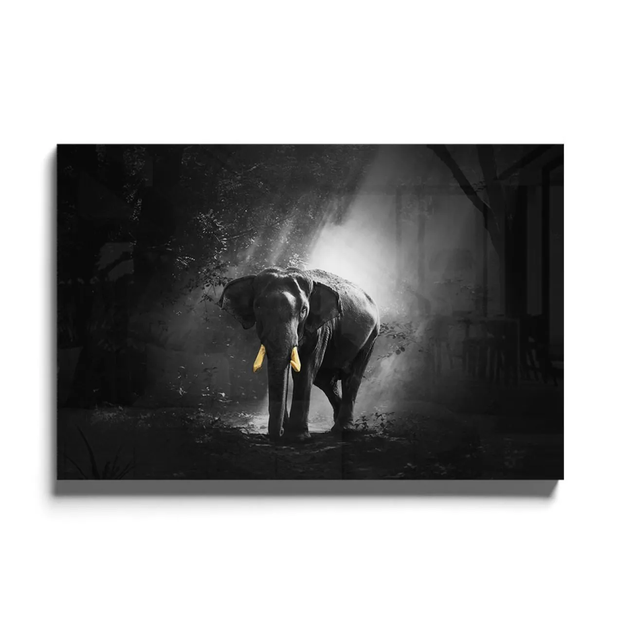 Walljar acrylglas schilderij - Golden Elephant Acrylglas schilderij - 60 x 90 cm