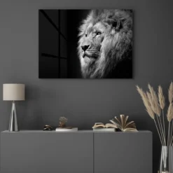 Walljar acrylglas schilderij - Gazing Lion Acrylglas schilderij - 70 x 100 cm
