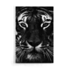 Walljar acrylglas schilderij - Facing Tiger Acrylglas schilderij - 80 x 120 cm