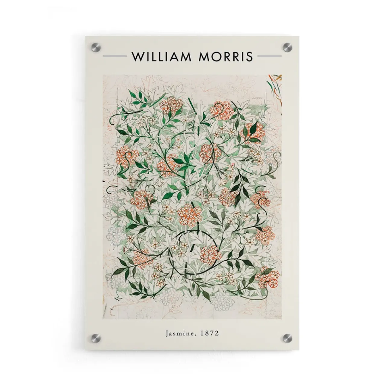Walljar plexiglas schilderij - William Morris - Jasmine Plexiglas schilderij - 40 x 60 cm