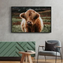 Walljar plexiglas schilderij - Schotse Hooglander Plexiglas schilderij - 70 x 100 cm