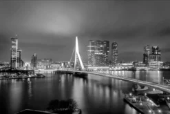 Walljar poster ingelijst - Rotterdam Skyline II Poster ingelijst - 40 x 60 cm