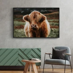 Walljar poster ingelijst - Schotse Hooglander Poster ingelijst - 70 x 100 cm