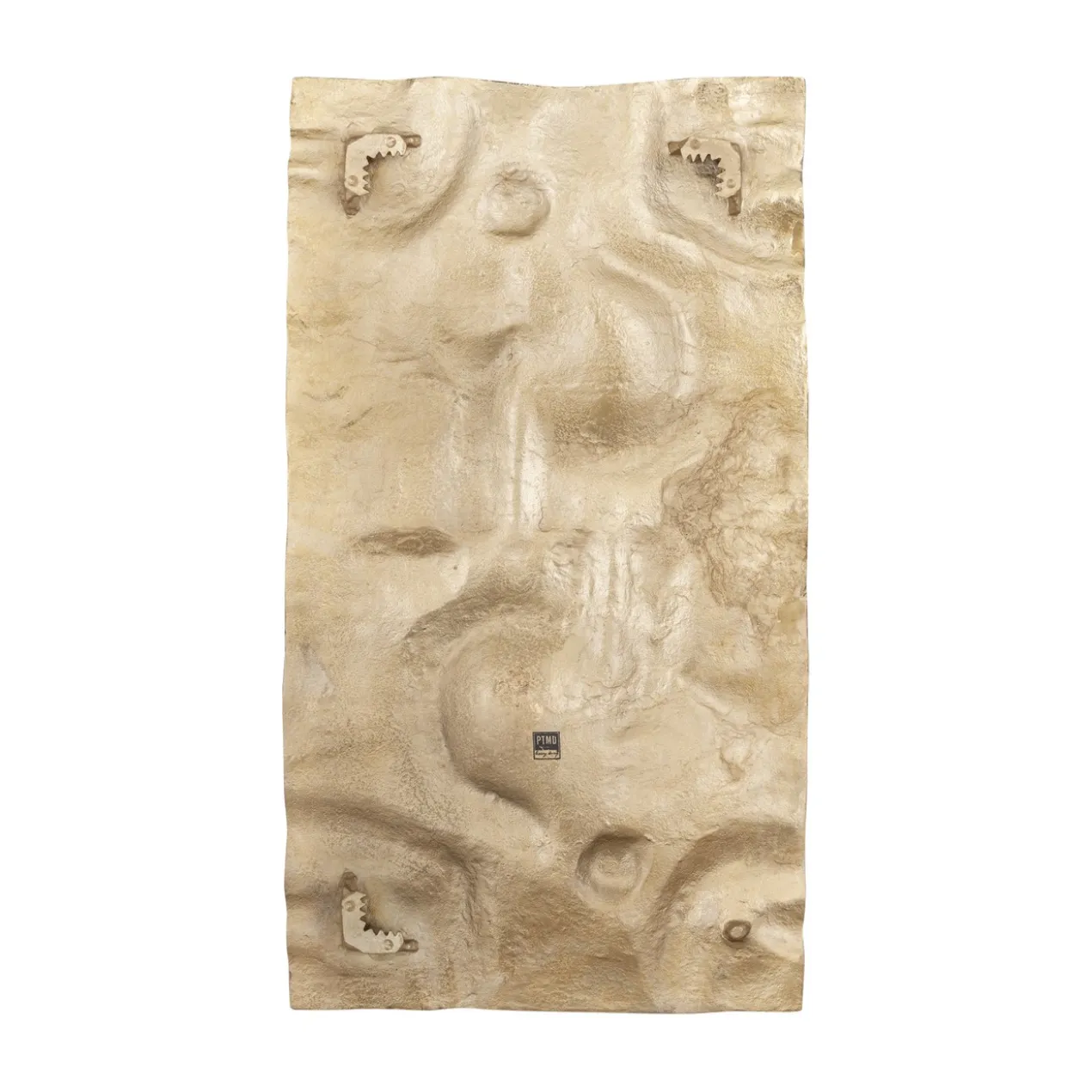 Wanddecoratie Taro Goud 50x90cm