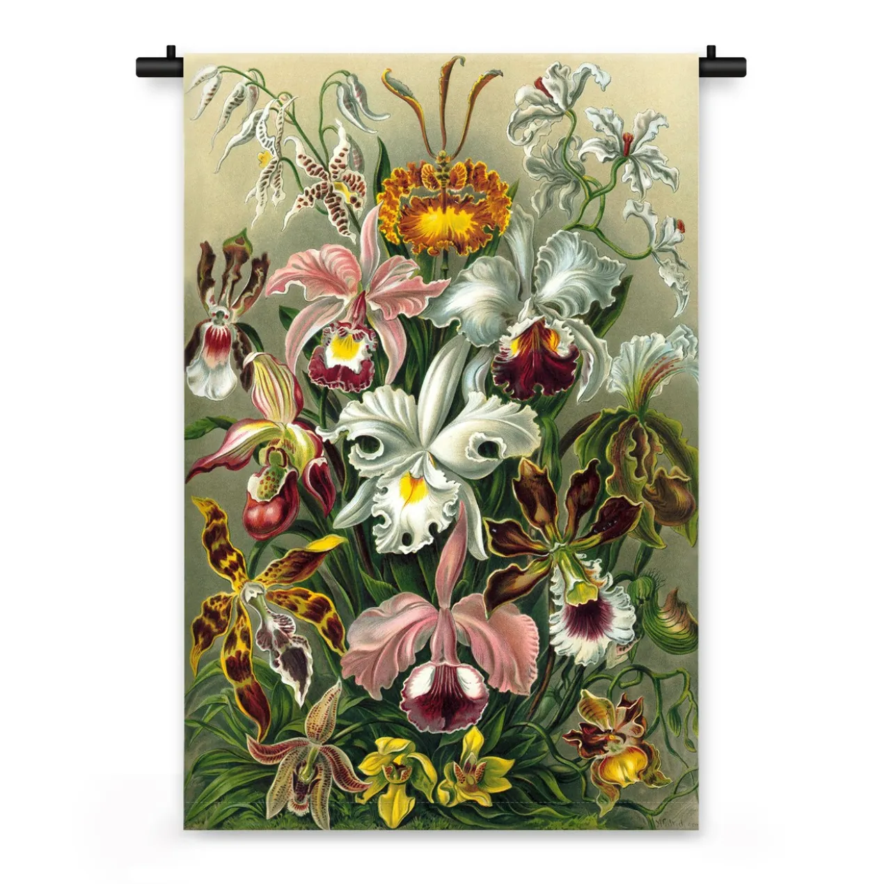 Wandkleed Illustratie van exotische bloemen 180 x 120 cm