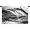 Wandkleed Veer zwart wit 180x120 cm