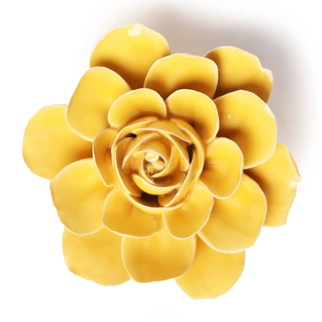 Wandornament Burnt Yellow Begonia
