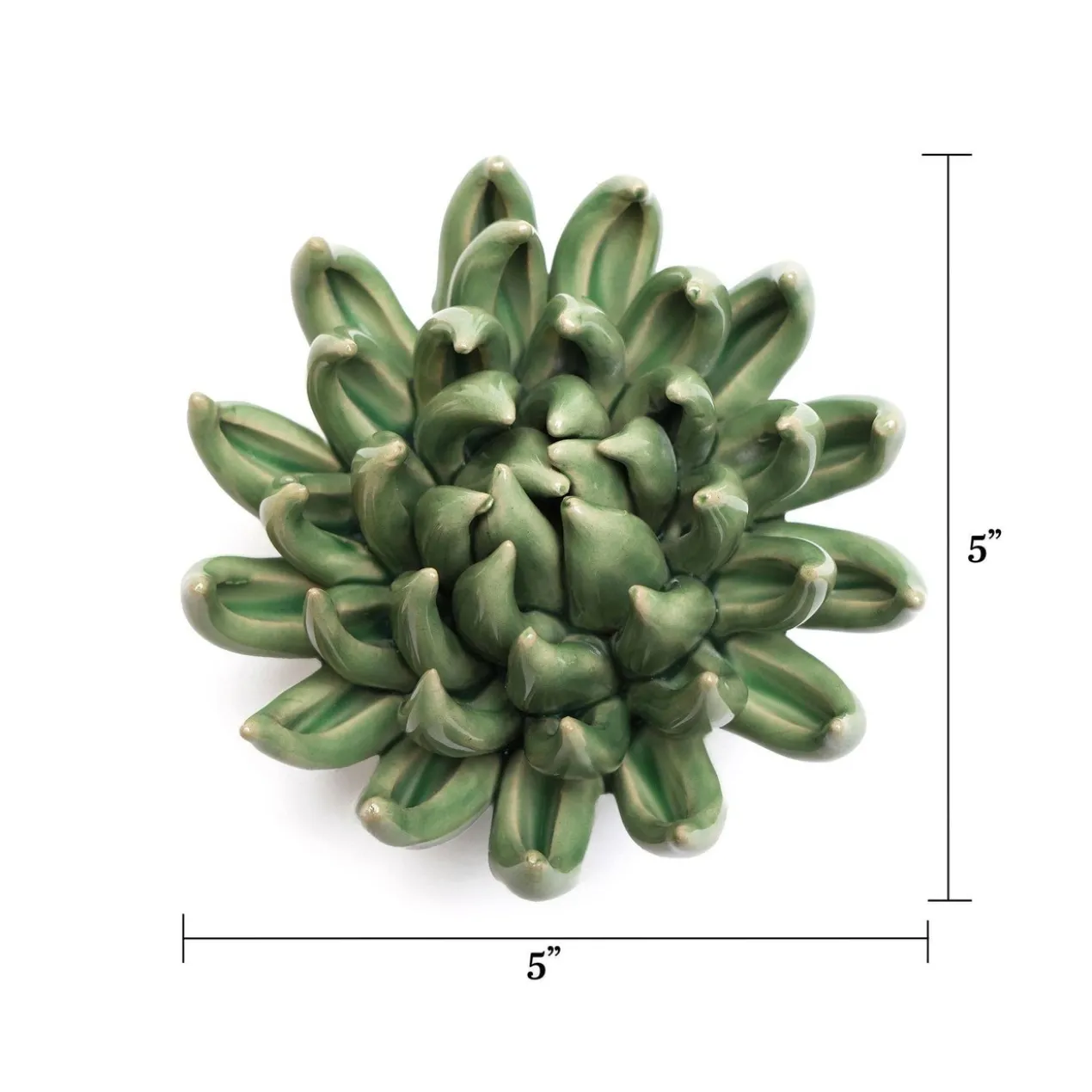 Wandornament Flower Jade Succulent