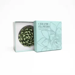Wandornament Flower Jade Succulent