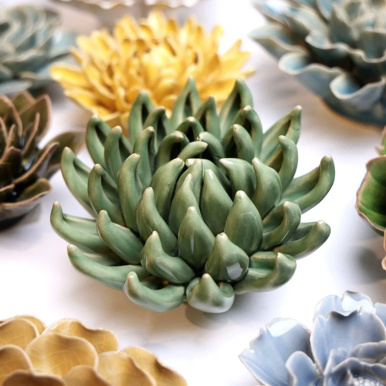 Wandornament Flower Jade Succulent