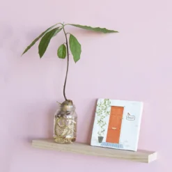 Wandplank wandtegel Storyshelf M