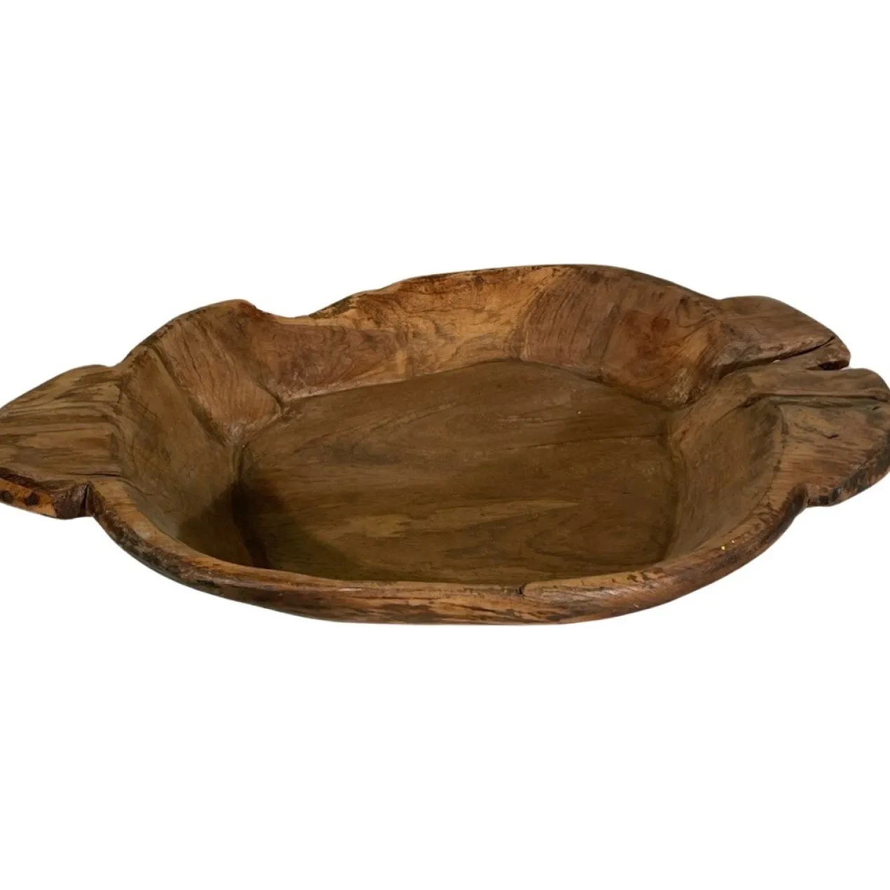 X0203383 Schaalhout Groot Uniek