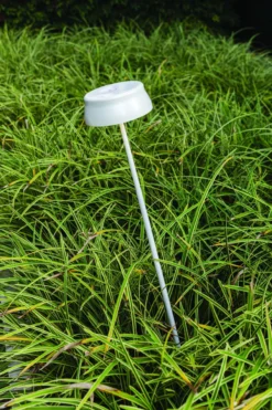 Zafferano buitenlamp Picchetto Sister Light Wifi groen