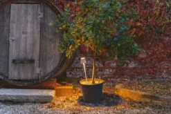 Zafferano Picchetto oplaadbare buitenlamp