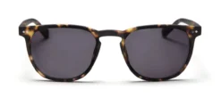 Zonneleesbril LL17AS The George turtle +1.00