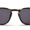 Zonneleesbril LL17AS The George turtle +2.00