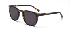 Zonneleesbril LL17AS The George turtle +2.00